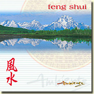 Feng Shui album cover